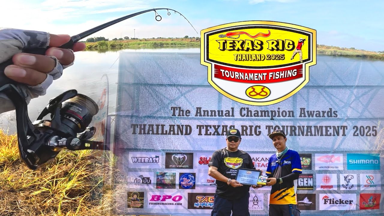 งานแข่งตกปลาช่อน Texas Rig Tournament 2025 ครบรอบ 11 ปี สนุก มันส์🔥