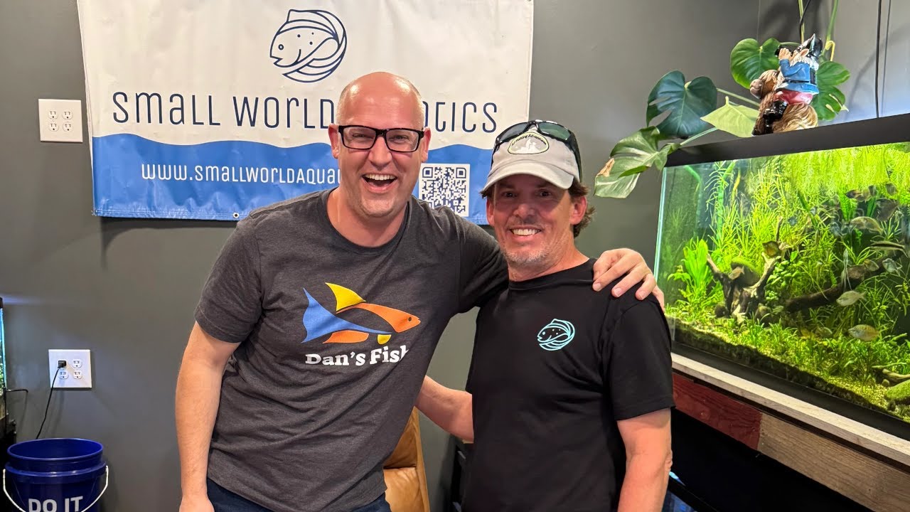 SECRETS REVEALED! Fish Breeding & Blackworm Culture SMALL WORLD AQUATICS Tour