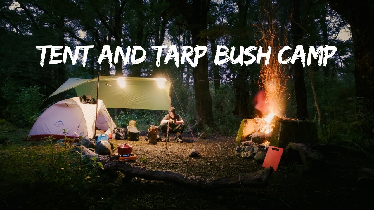 Tent and Tarp Bush Camping in New Zealand | Donelly's Flat Tararua Forest Park [4k60]
