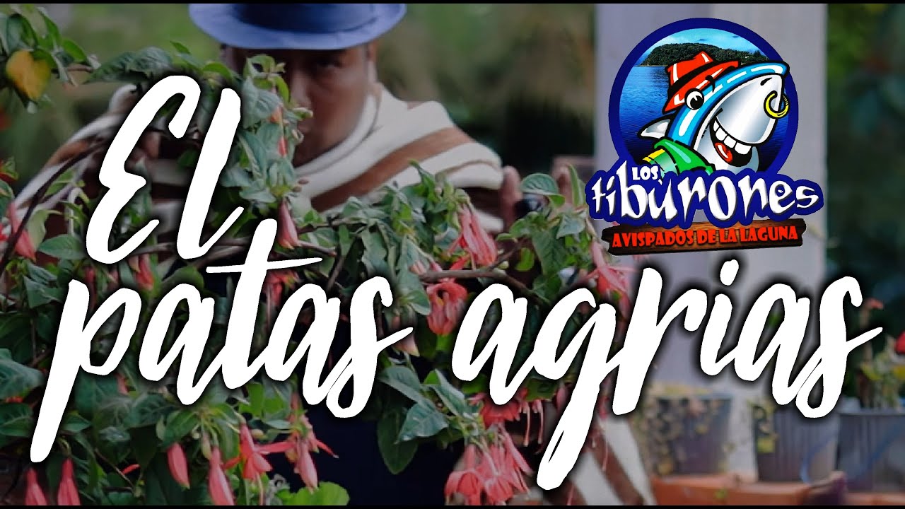El Patas Agrias - Los Tiburones Avispados de la Laguna