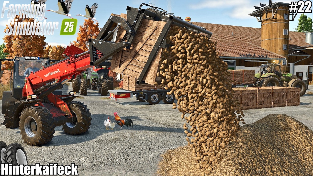 Harvesting Potatoes – Telehandler Equipped with a Pallet Box Tipper | HINTERKAIFECK | FS 25 | 22