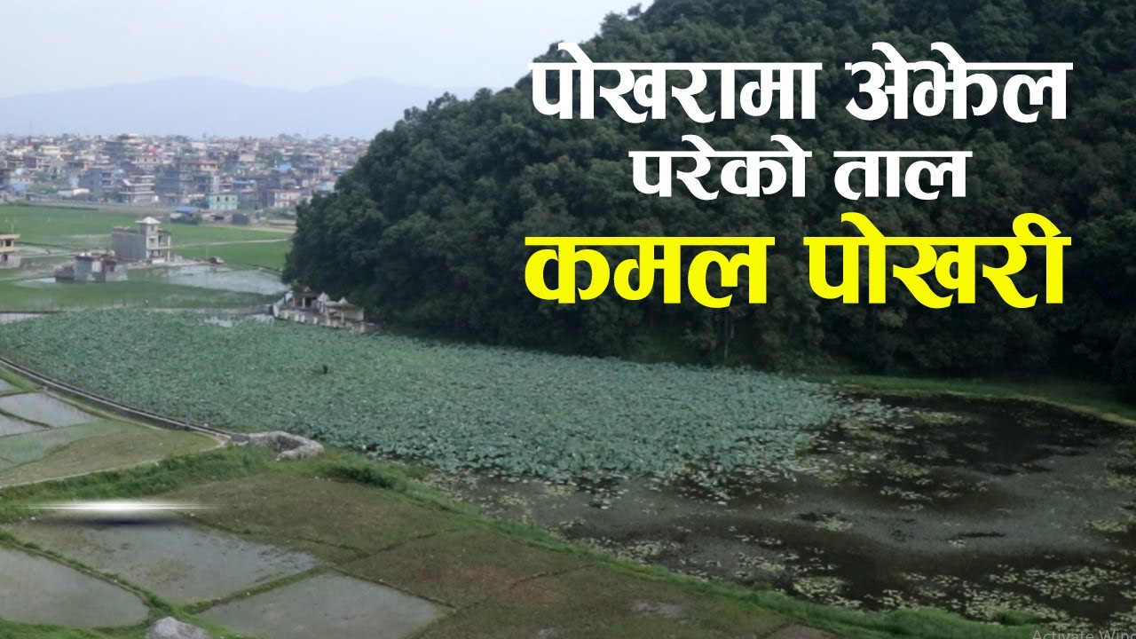 Hidden Lake of Pokhara l कमल पोखरि l Kamal Pokhari पोखरामा ओझेलमा  परेको ताल