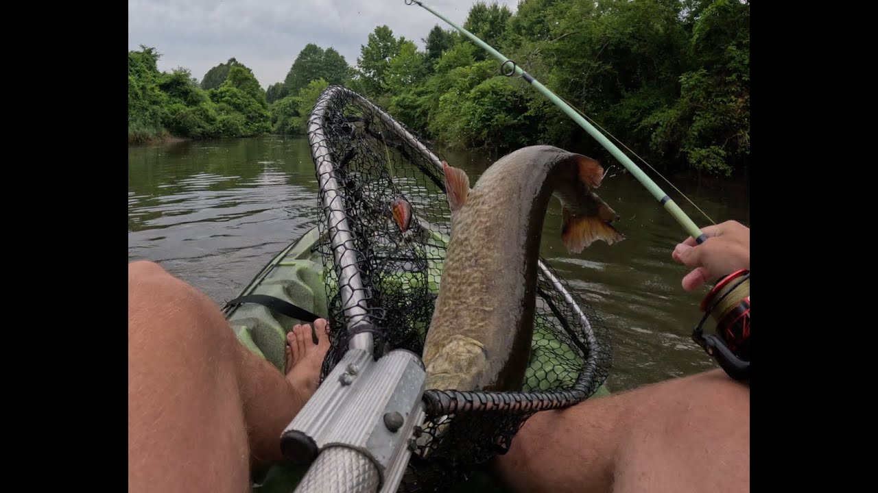 Muskie Journey Part Two (Insane Ending)
