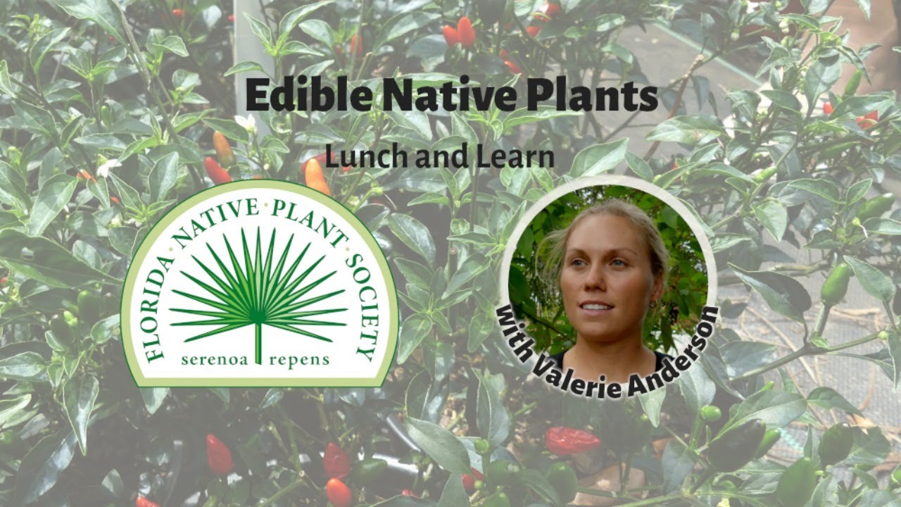 Edible Native Plants