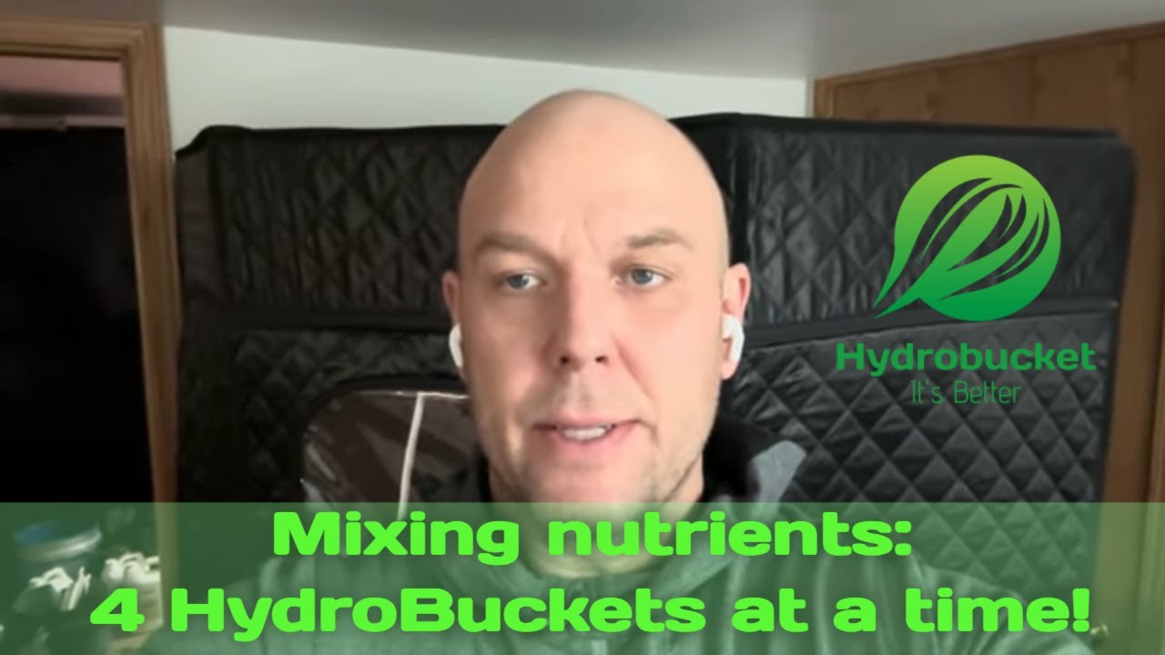 How I mix nutrients for four Hydrobuckets at once