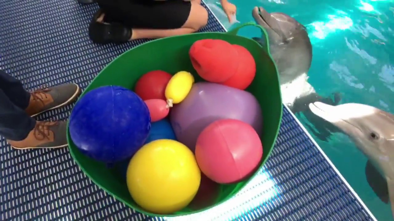 Easter Enrichment Fun with Winter and Hope