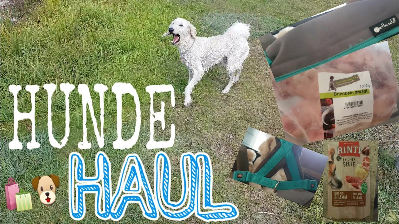 XXL Hunde Haul🛍🐶| Lucy's Neues Hundegeschirr♡|Luni cia