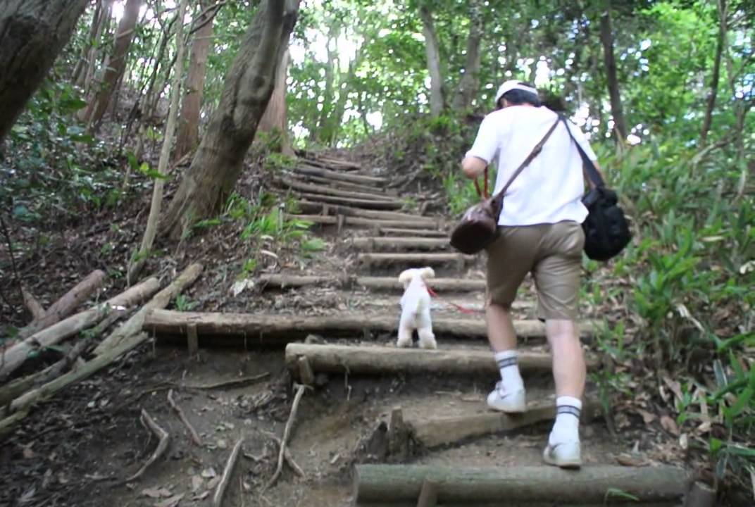2015.07.21 猿投山　武田道へ～♪　Kent9歳 のコピー