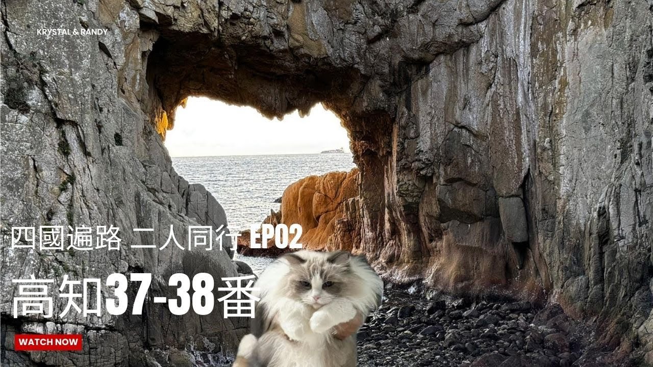 【四國遍路】EP02｜二人同行｜37岩本寺｜38金剛福寺｜足摺押｜
