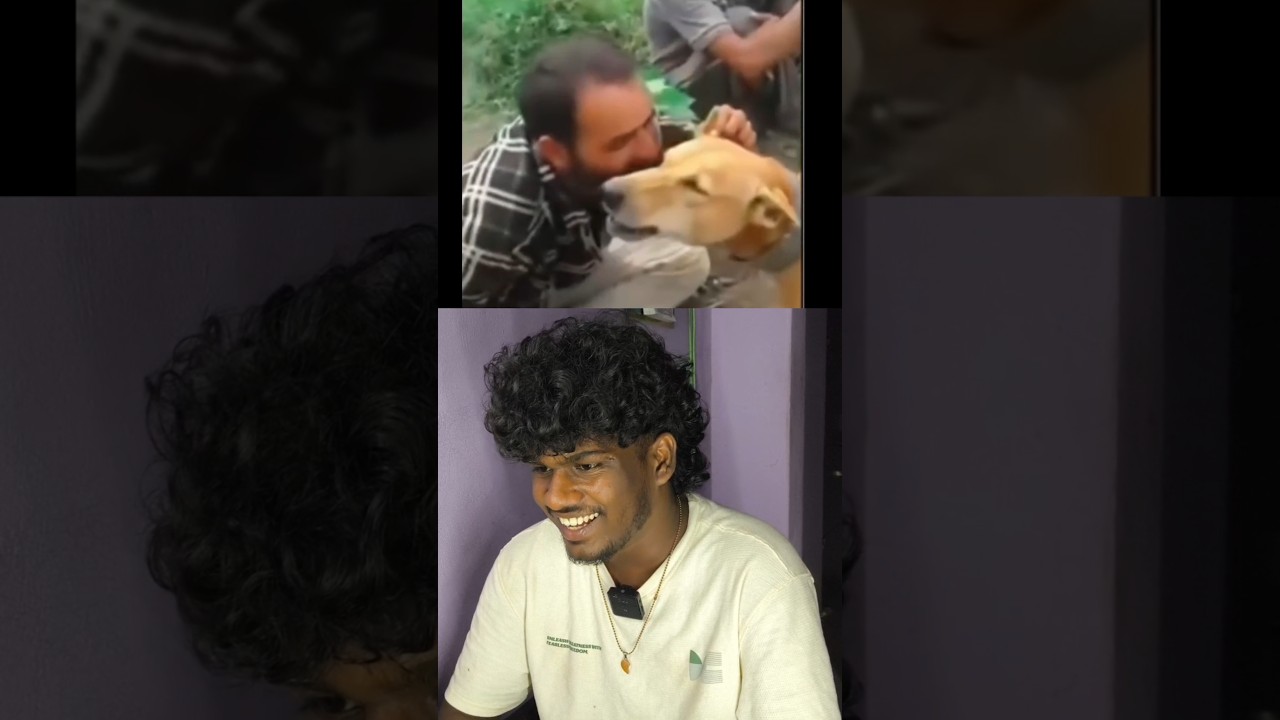 Iyyo potche⁉️😅#animalreaction #tamil #trending #react #memes