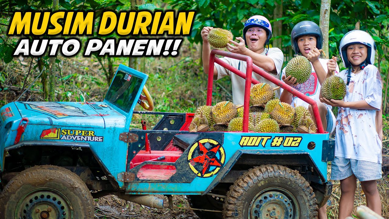 HUNTING DURIAN!! DITDIM DAN AYAH PAKAI JEEP CARI DURIAN DAPAT SEBANYAK INI??😱😱