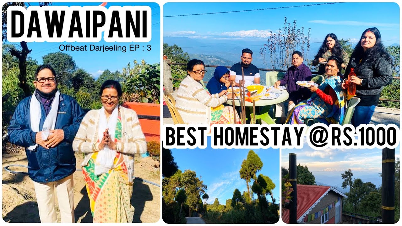Best Homestay in Dawaipani | Upper Dawaipani | Offbeat Darjeeling EP:3 | Pine Hill Homestay 🏡