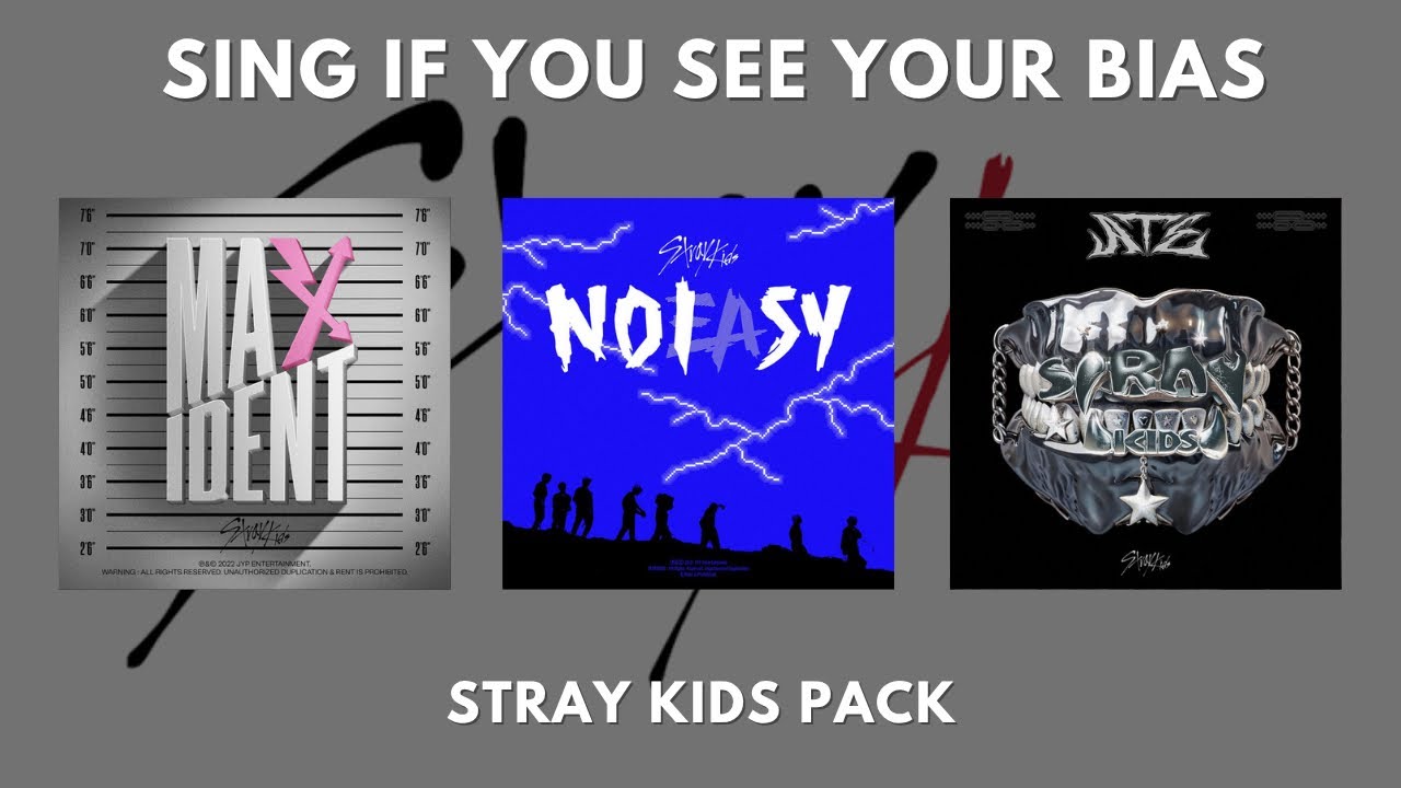 SING IF YOU SEE YOUR BIAS || STRAY KIDS PACK (+100 idols)