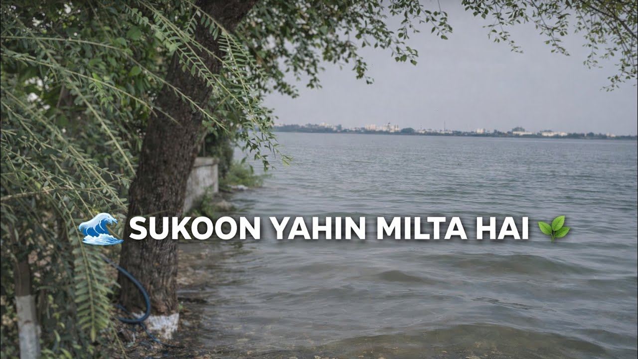 There is no music in this video. Just nature, only nature!