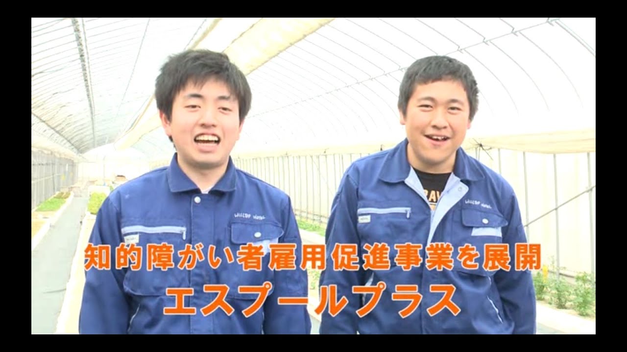 知的障がい者の雇用促進のため、「わーくはぴねす農園」を年内３ケ所増設