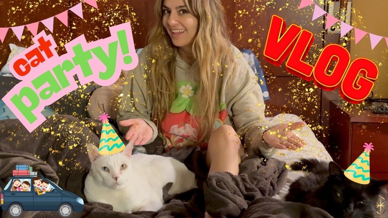 ROAD TRIP WITH CATS! Life Lately for this Single Mom #vlog #travel #cats #lifestyle