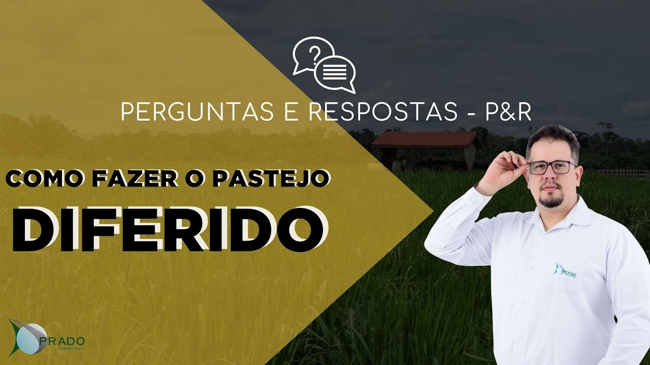 Como fazer um pastejo diferido?