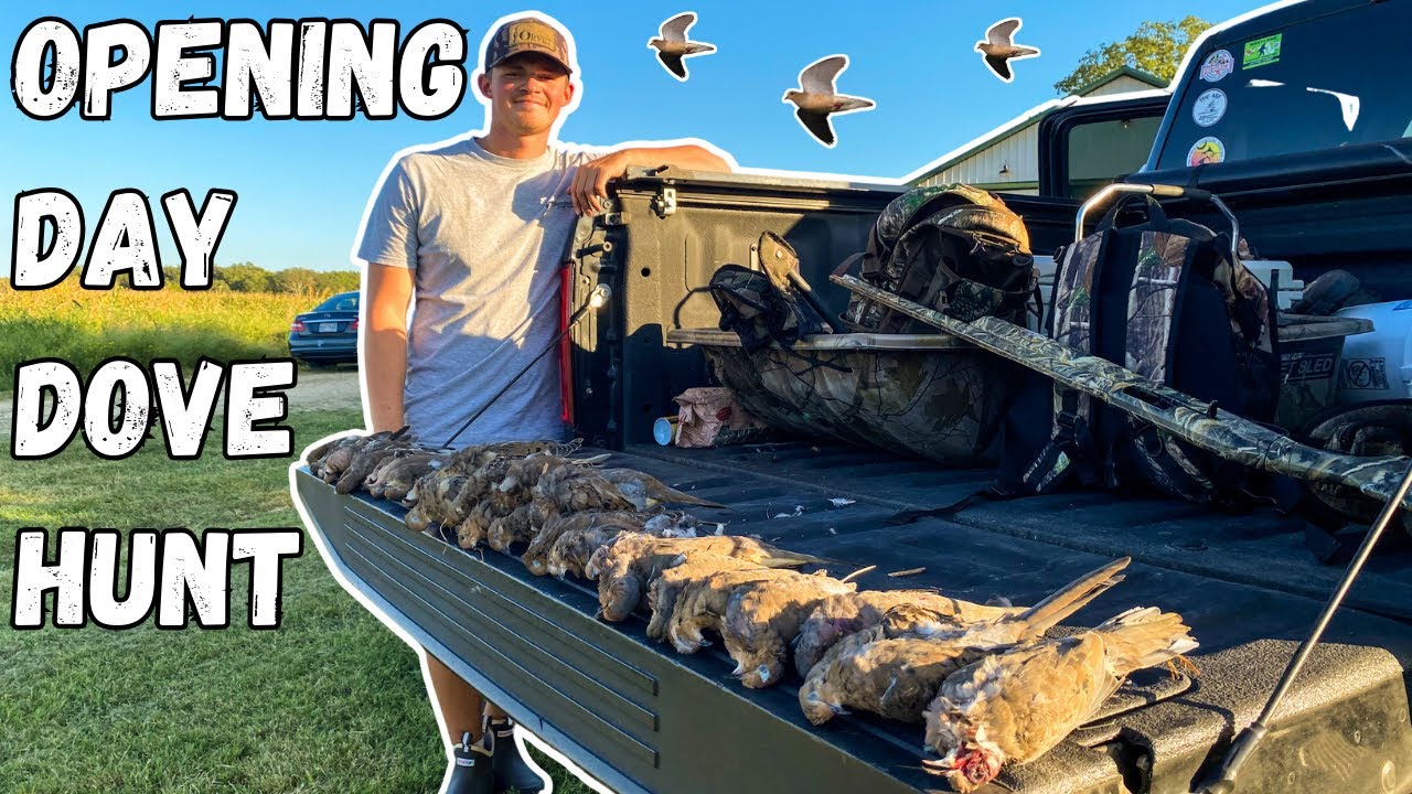 Maryland Opening Day Dove Hunt 2023! | (NON-STOP ACTION)