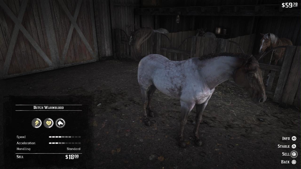 Red Dead Redemption 2_i Have found the best horse  .....
