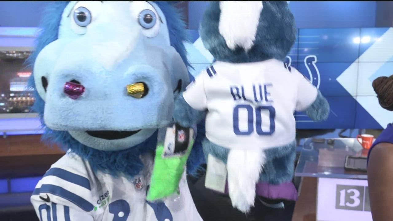 Colts mascot Blue joins 13Sunrise to showcase new Build-A-Bear