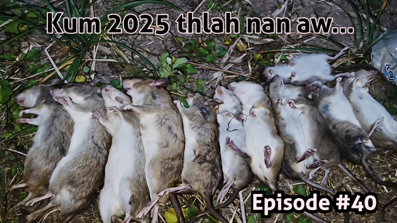 Kum 2025-a Zupawl thang kam hnuhnung ber| Sazu thang kam Episode #40