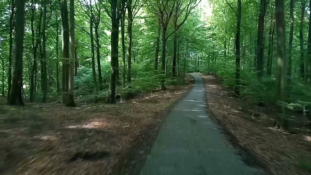Radweg Rügen Sassnitz Hagen Teilstück