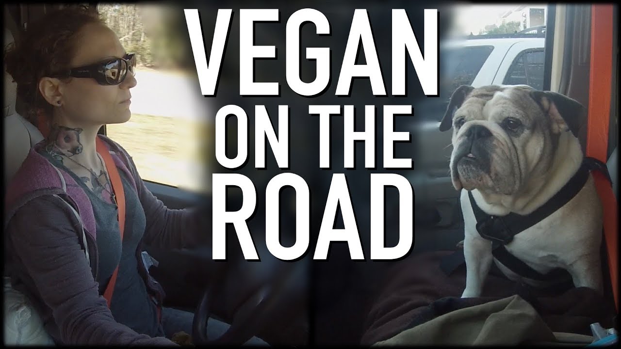 What I Eat In A Day While Traveling | My Vegan Move
