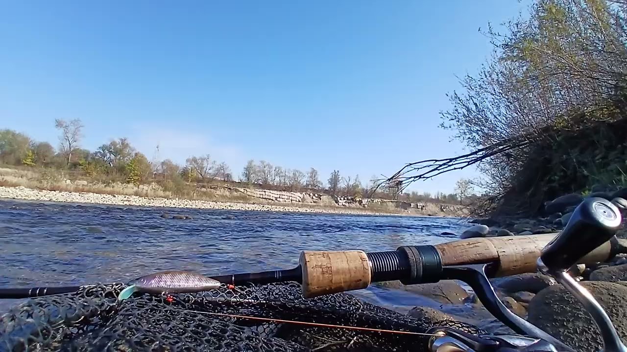 end of season 2024 #handmademinnow #trout #balsalures #troutfishing