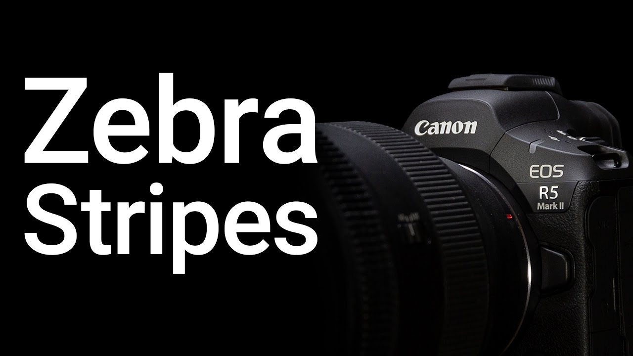 Understanding Zebra Stripes on the EOS R5 Mark 2 - EOS R5 Mark 2 Tip 29