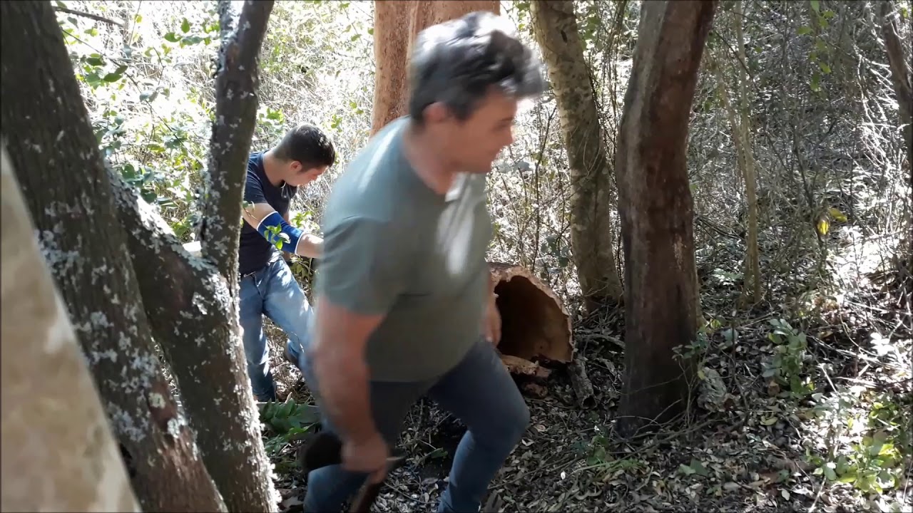 Estrazione del Sughero in Gallura - (riprese video T.Gamboni)