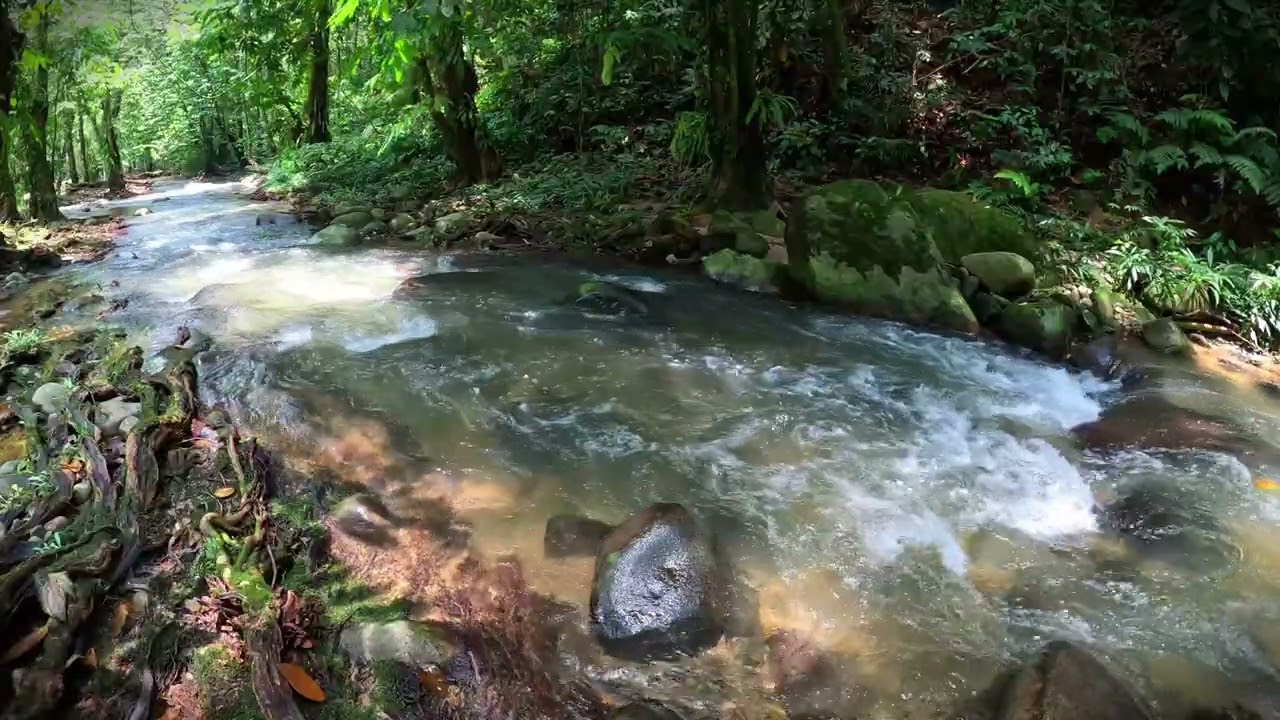 Serenity by the River: Soothing Sounds to Relax and Unwind | Relaxing River Sound