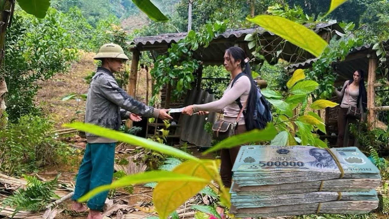 Girl Buys an Abandoned House in the Deep Forest for $2000 – Unexpected Ending