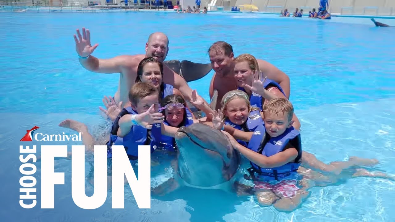 Dolphin Swim in Cabo San Lucas, Mexico | Carnival Cruise Line