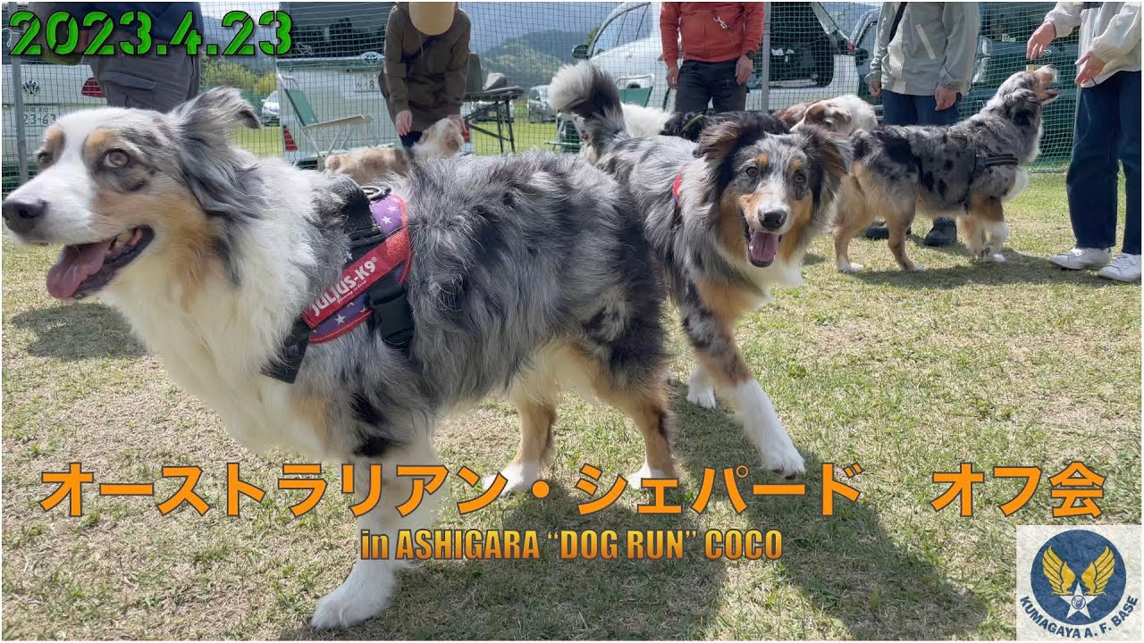 2023.4.23 オゥシーオフ会 in 足柄CoCo