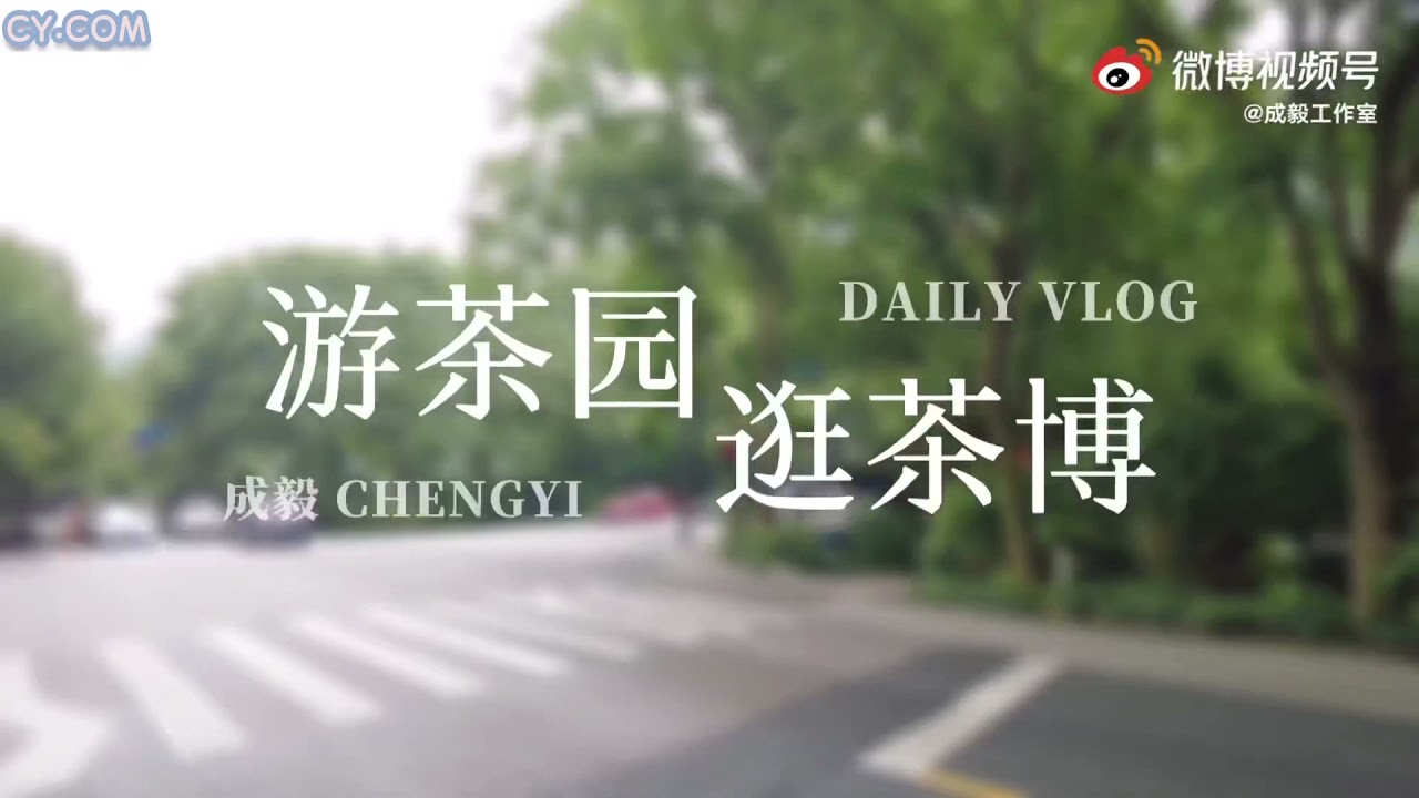 [ENG] CHENGYI VLOG : A Day Visiting Tea Garden / Tea Exhibition