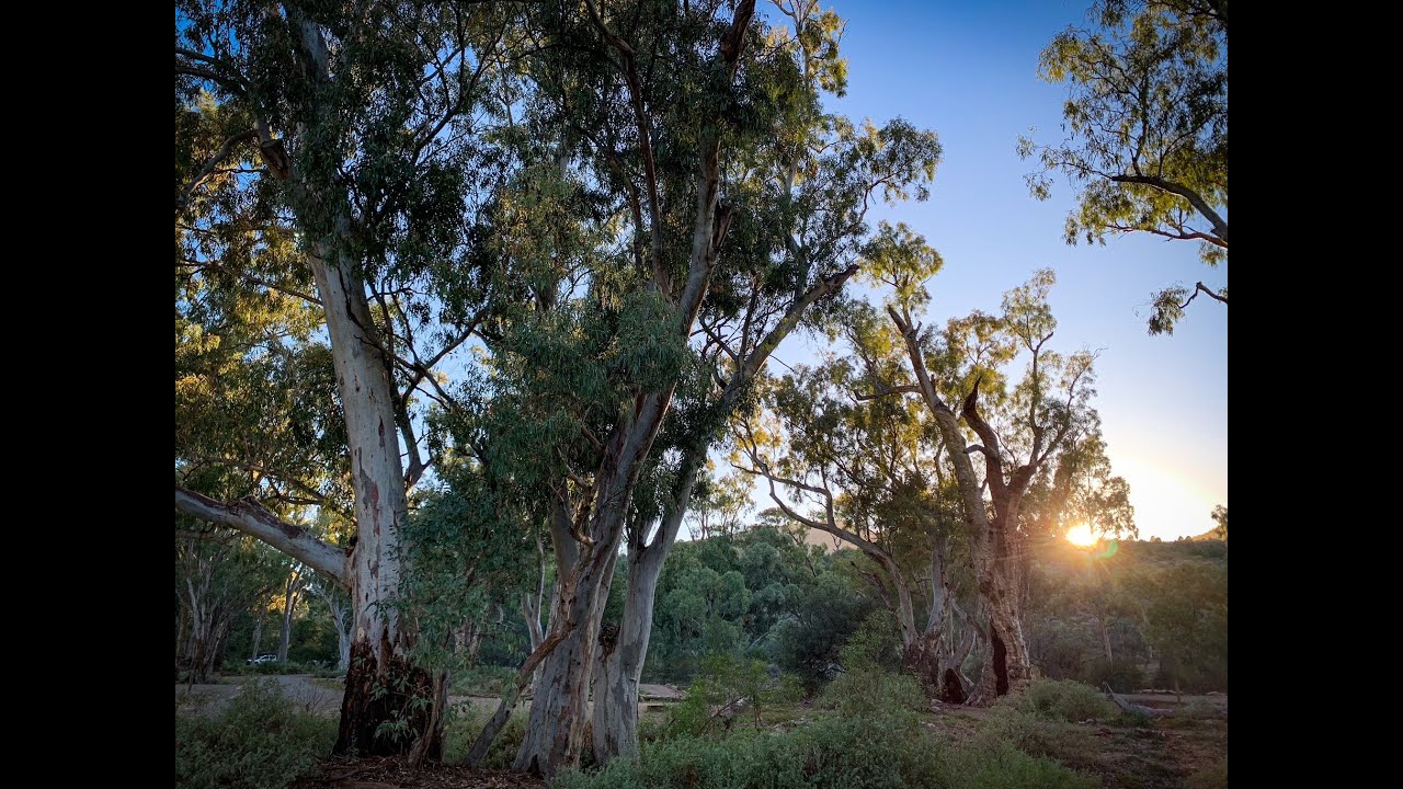 Mambray Creek Campground (Newly Renovated) to Hidden Camp Hike. Mt Remarkable National Park, S.A.
