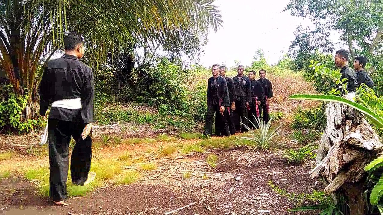 PSHT  Tes sabuk ijo kubu Raya