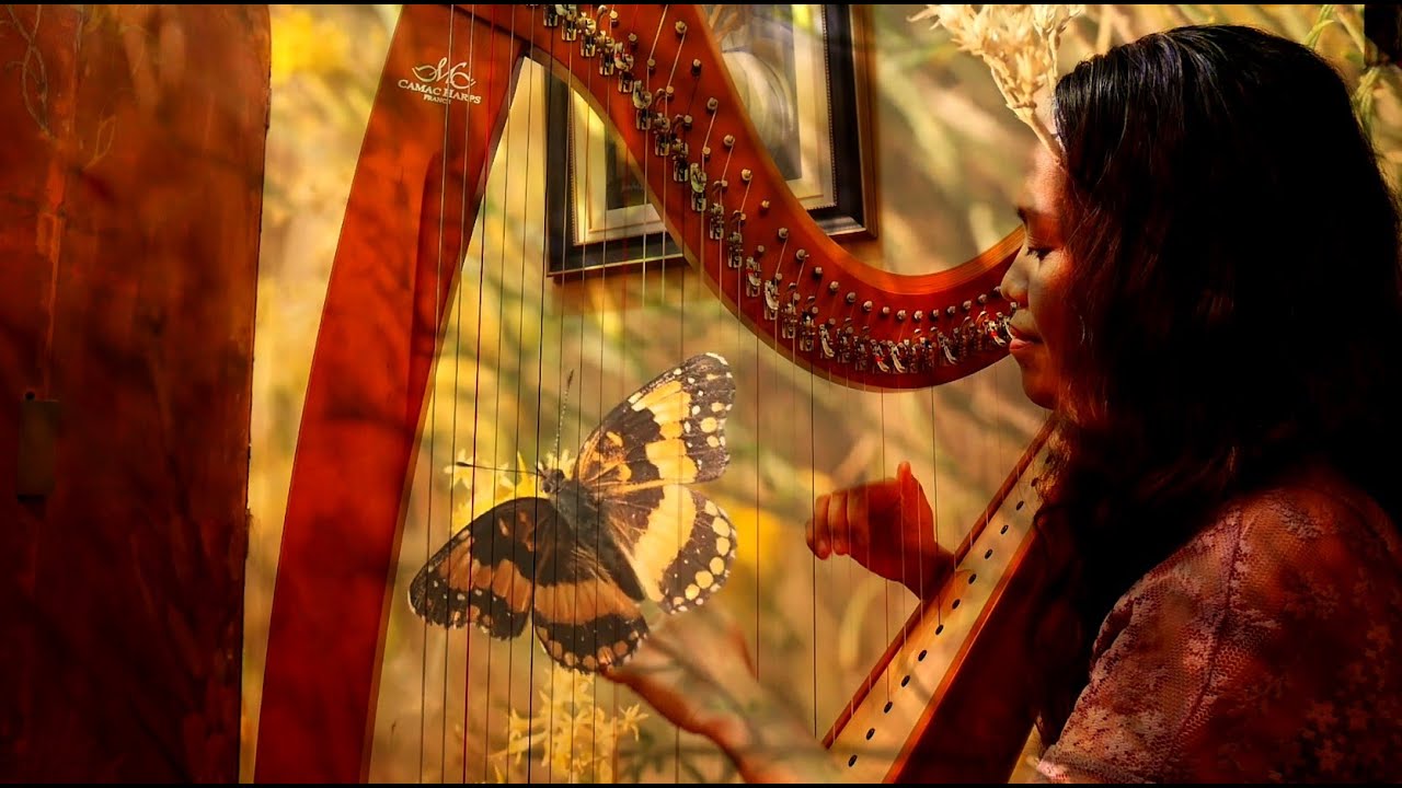 The Butterfly