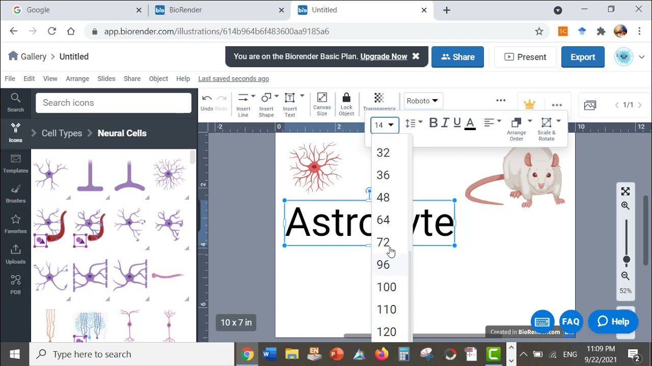 How to use Biorender to create  Figure or graphic abstract?  Dr. Esraa Elnahas