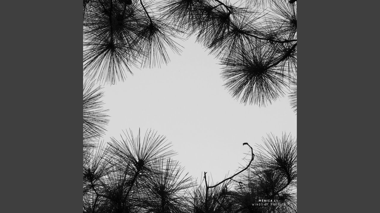Winds of Promise