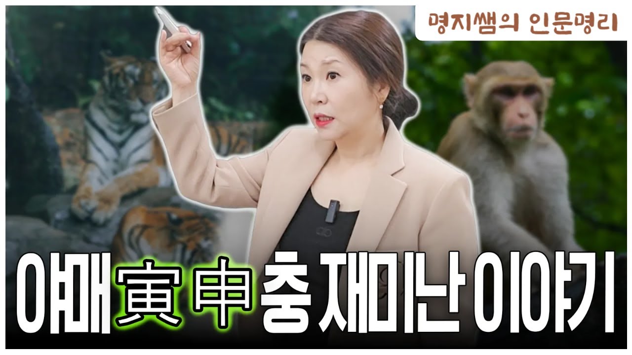 [명지쌤의 뿌리 인문학] 야매 寅申충 재미난 이야기