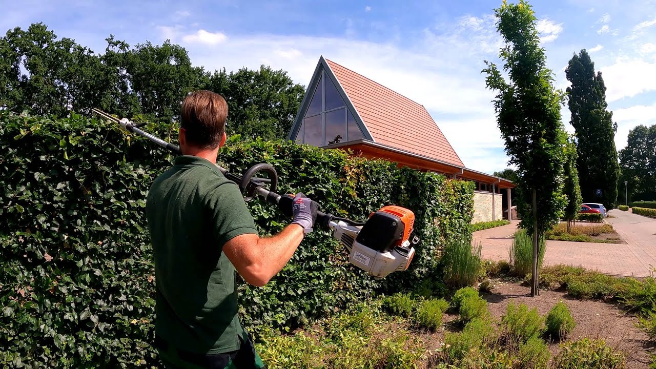 TRIMMING a Beech Hedge in a CEMETERY with a CHAPEL