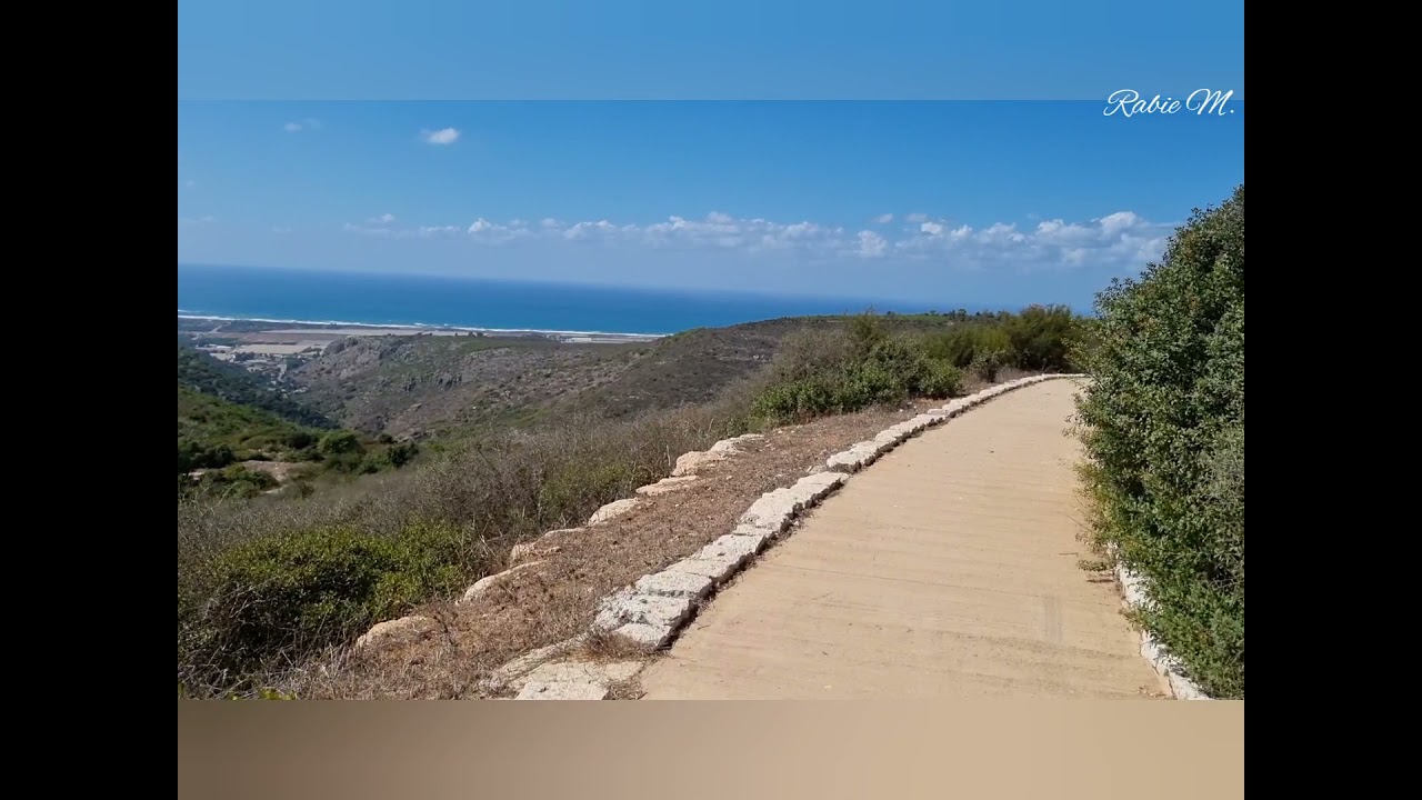 מצפור הסיירים, יערות הכרמל