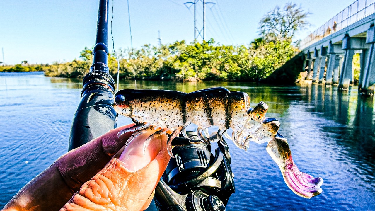 This Artificial Shrimp Rig is Deadly | Sheepshead Couldn’t Resist it