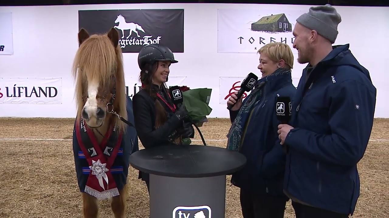 Winner of fourgait in Meistaradeild Líflands