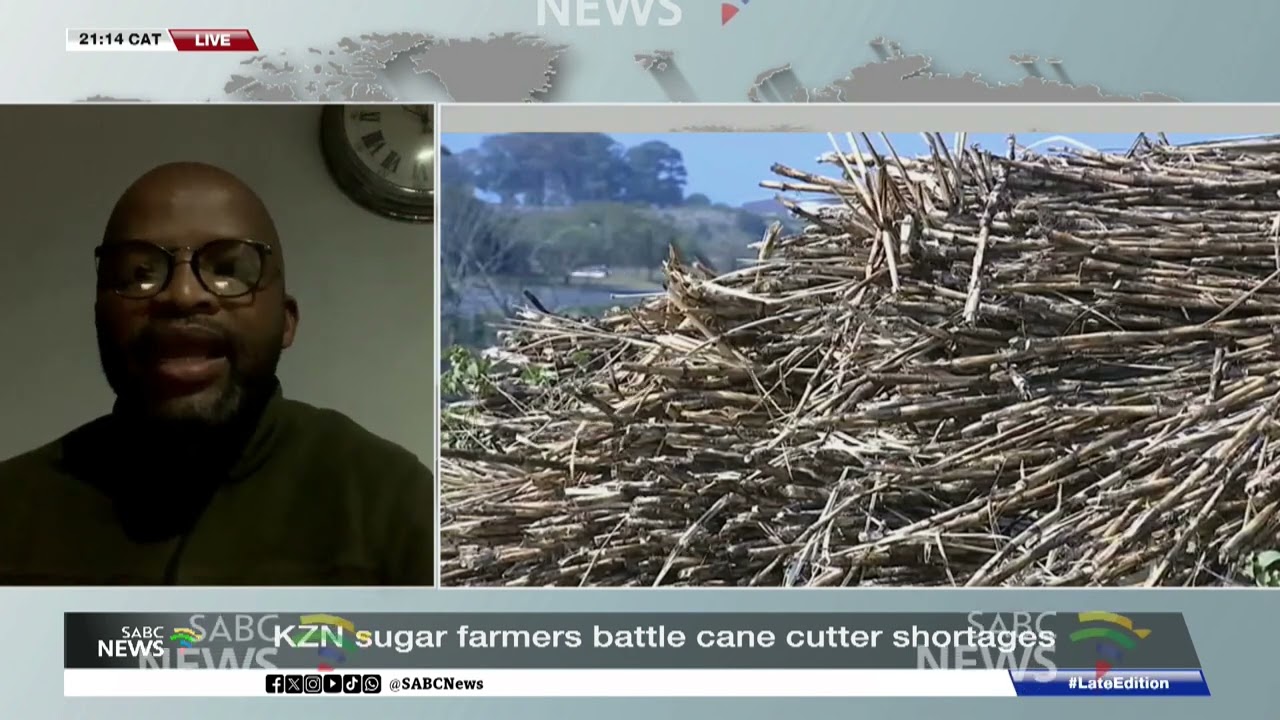 KZN sugar farmers battle cane cutter shortages