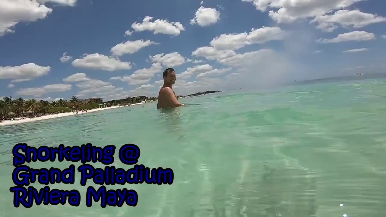 Snorkeling@Grand Palladium Riviera Maya