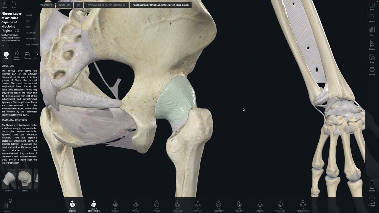 Why we do FRC CARs Controlled Articular Rotations 