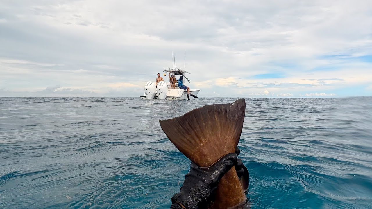 Spearfishing From 70ft To 