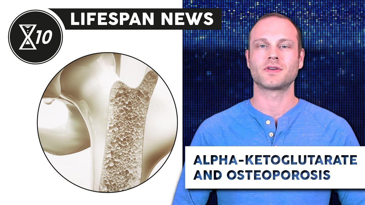 Avoiding Osteoporosis with Alpha-Ketoglutarate | Lifespan News